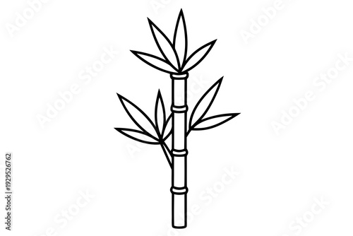 A minimalist outline drawing depicts a single bamboo stalk with a few leaves, representing natural simplicity and organic growth in a clean, graphic style.