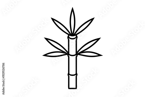 A bold outline drawing illustrates a single bamboo stalk with distinct, wider leaves, portraying a graphic and stylized representation of the plant against a white background.