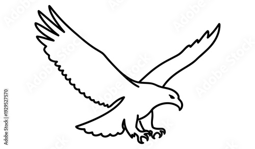 Minimalist Monoline Eagle Logo Vector_26