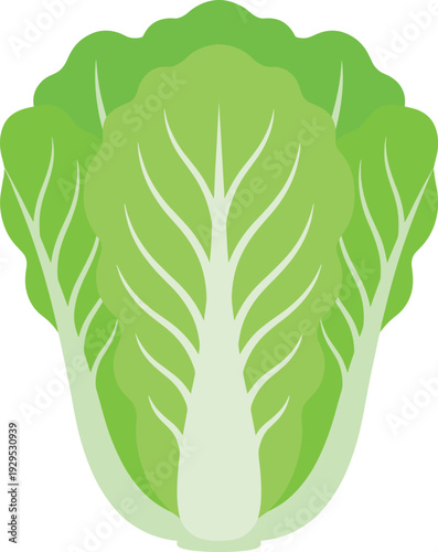 Cartoon illustration of leafy vegetable resembling lettuce or napa cabbage, symbolizing healthy eating, nutrition, agriculture, culinary diversity, and fresh food concept for design projects