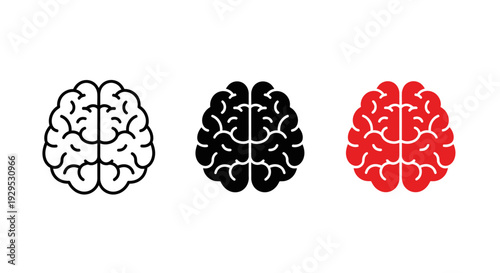 Three brain illustrations in different colors on white background.
