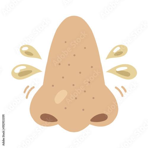 Illustration of an oily nose showing excessive sebum secretion Front view