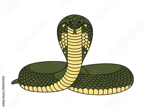 Stylized Cobra Snake Illustration with Hood Expanded.