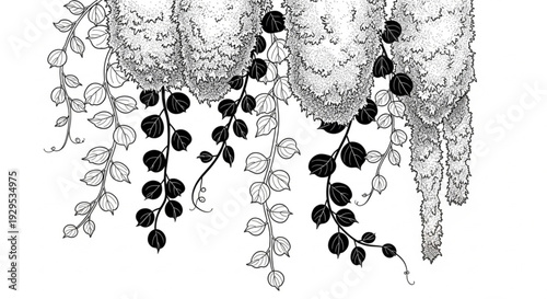 moss and foliage with delicate tendrils against a white background, cut out transparent