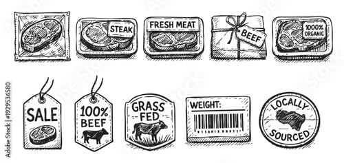 Vector illustration shows hand drawn style various cuts of beef meat in packaging with labels like grass fed or organic for butcher shop marketing materials.