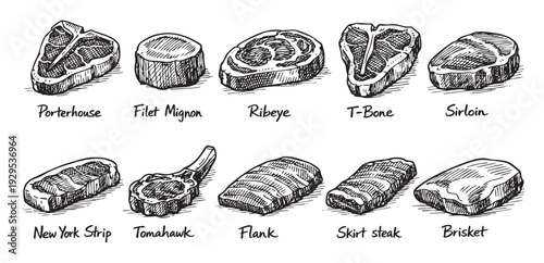 Hand-drawn illustration showcasing different cuts of steak, including porterhouse, filet mignon, ribeye, T-bone, sirloin, New York strip, tomahawk, flank, skirt steak, and brisket.
