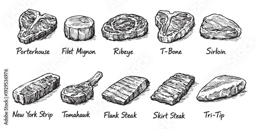 Hand-drawn illustration of various beef cuts, including Porterhouse, Filet Mignon, Ribeye, T-Bone, and more, set against a clean white background for culinary and food-related design.
