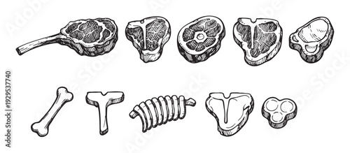 Detailed black and white sketch showing various cuts of raw meat, including ribeye, T-bone, and other steak types, along with accompanying bones, for butcher shops or cookbooks.