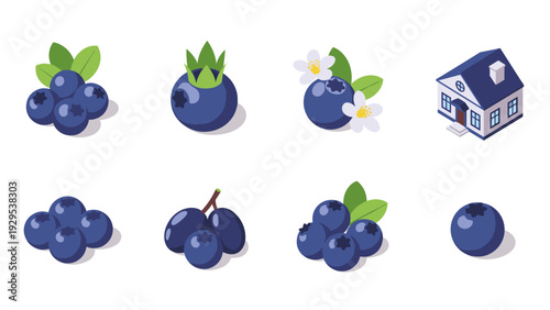 blueberry fruit and flower icons set with leaves and isometric house illustration in hand drawn style for natural and fresh design