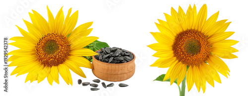 Sunflower with seeds in wooden bowl isolated on a white background