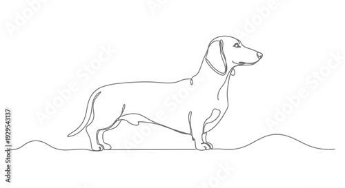 Dachshund dog, one line drawing, simple, minimalist, pet
