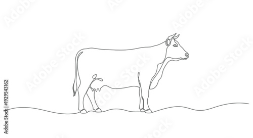 Cow standing, one line drawing, simple, minimalist, farm animal