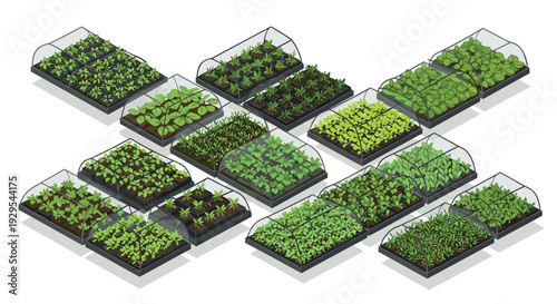 array of isometric hand drawn greenhouse seedling trays with various young plants and herbs