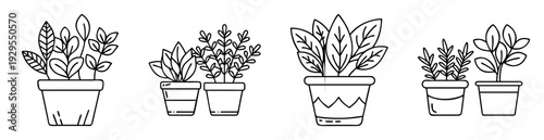 Assortment of line art potted plants in various pots and leaf shapes