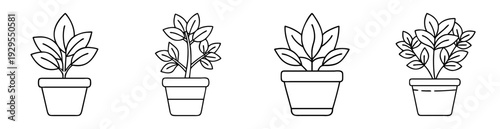 Black and white line art of potted plants in simple drawing style