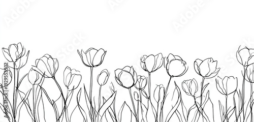 A monochrome line drawing of tulip flowers growing from the bottom of the image