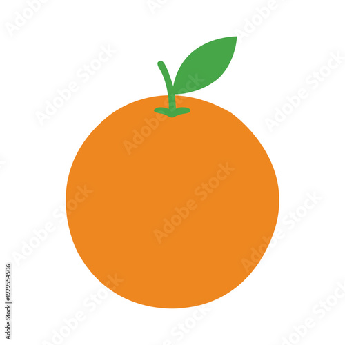 vector illustration of orange fruit