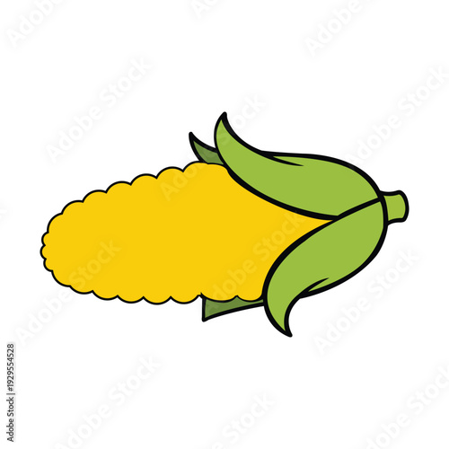Vector illustration of an ear of corn