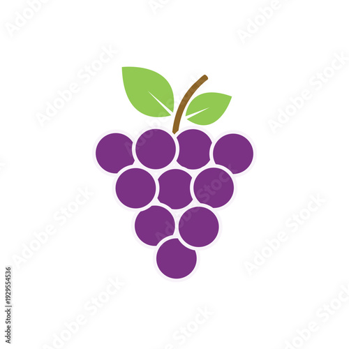 bunch of grapes vector illustration