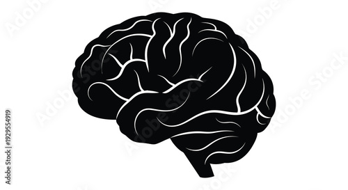 A striking black silhouette of a human brain showcases complex convolutions and neural pathways representing intelligence silhouette high quality