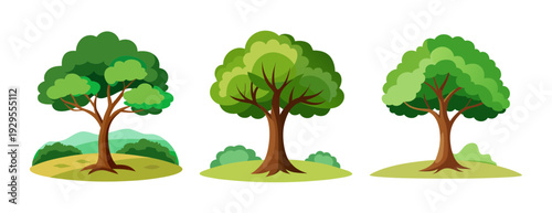 Three stylized cartoon trees with lush green foliage illustration