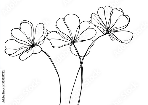 Delicate line art of three stylized flowers with curving stems, on a white background