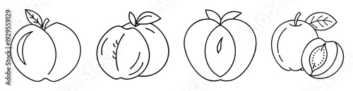 Black and white line art illustration of several whole and halved peaches