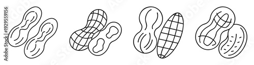 Creative black and white line art illustration of peanuts on white background