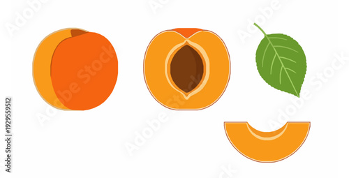 Minimal fresh apricot whole half slice and leaf flat vector icons