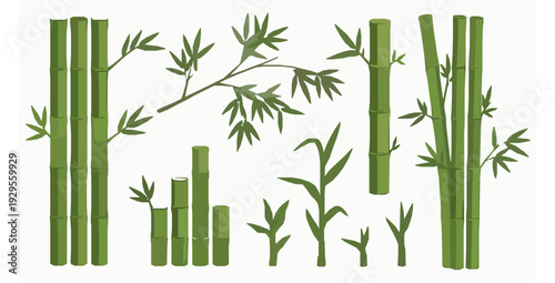 Botanical bamboo stalks sprouts and branches flat vector set