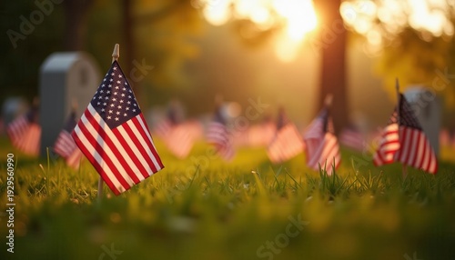 Flags Marked on Graves in a Sunset Scene at a Cemetery on Memorial Day