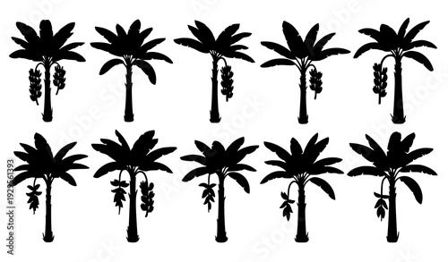 Banana tree silhouette collection tropical plant vector isolated on transparent background