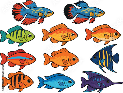 Collection of colorful tropical aquarium fish illustrations including betta splendens goldfish angelfish and cichlids isolated on white background for pet shop aquatic hobbyist design projects
