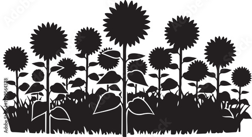 Black silhouette of sunflowers and grass against white background black and white nature garden desi