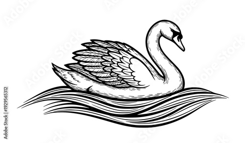 Decorative black and white swan with stylized water waves vector illustration isolated on white background