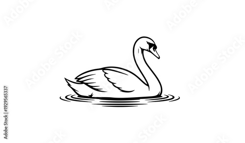 Elegant black and white swan floating on water minimalist vector illustration isolated on white background