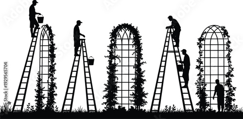 Gardener working on ladder trimming climbing plants on garden arch trellis, landscaping silhouette vector illustration isolated on white background