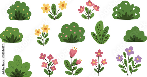 Colorful illustrations of various flowering plants and bushes on white background