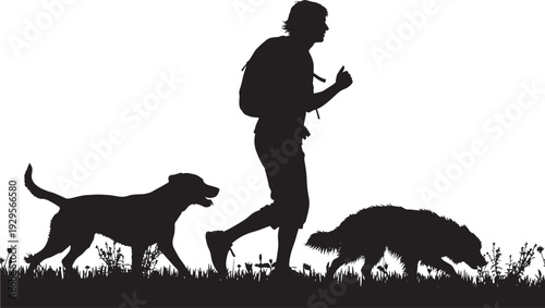 Runner silhouette with dogs walking in grassy field together featuring jogging, pets, outdoor with exercise and fitness elements for running, canine projects, clean composition on simple background