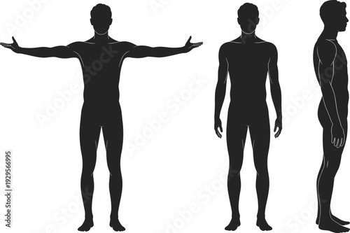 Male human body silhouette set, front side and T pose views, anatomical proportions reference, black vector illustration isolated on white background