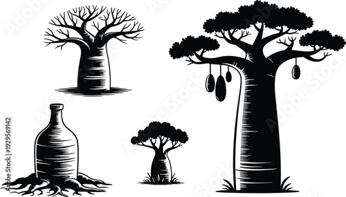 Artistic baobab tree illustrations with thick trunks, leafy canopies, hanging fruit, and symbolic bottle-root concept, representing African nature, growth, and cultural design themes