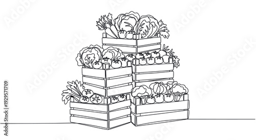 Single line drawing illustration of stacked wooden crates filled with fresh vegetables like tomatoes, carrots, cabbage, and broccoli against a clean, white background.