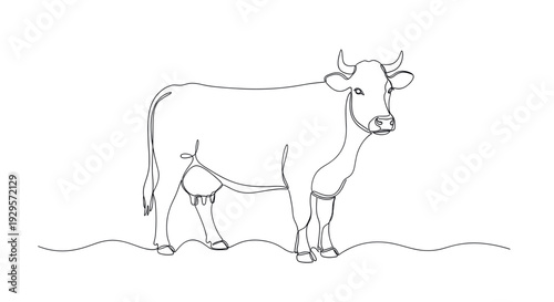 Single line drawing of a cow standing on grass in a minimalist style, perfect for illustrating farm animals or dairy themes.