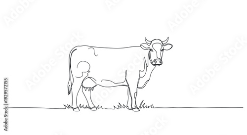 A minimalist one-line drawing of a standing cow against a white background, perfect for designs requiring a simple, elegant animal illustration. It is suitable for brands focusing on dairy or farming.