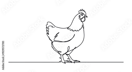 A minimalist one-line drawing depicts a chicken standing, simple and elegant, suitable for logos or branding related to farming or organic food.