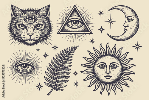 Mystic cat sun moon eye symbols vintage engraving vector