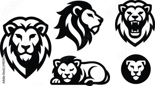 Set of 5 lion icons vector