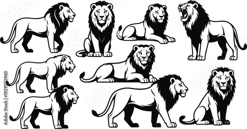 Set of 9 lion icons vector