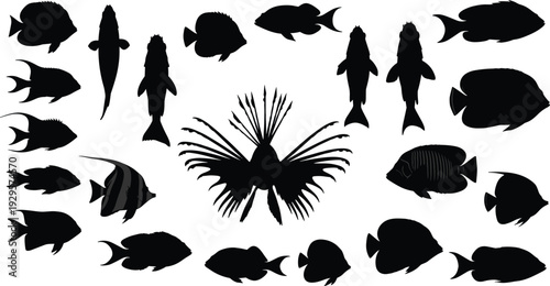 Black silhouette illustration of diverse fish species arranged in circular pattern around central lionfish, symbolizing marine biodiversity, aquatic design, and educational artwork