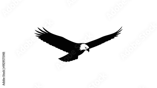 Majestic Black Flying Eagle with Spread Wings Isolated on White Background.